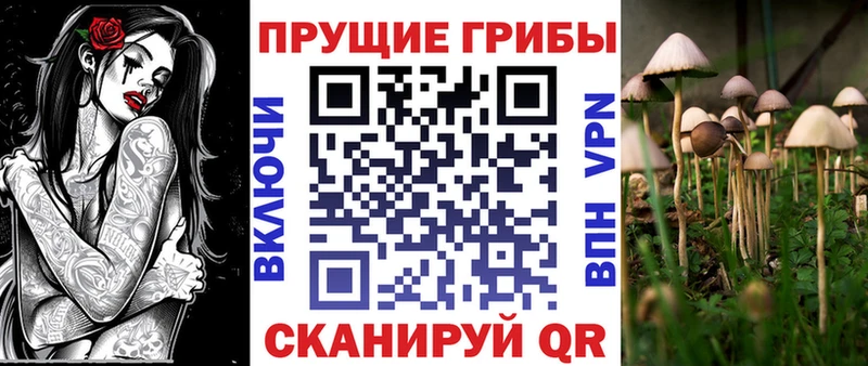 Галлюциногенные грибы мухоморы как найти наркотики Таштагол
